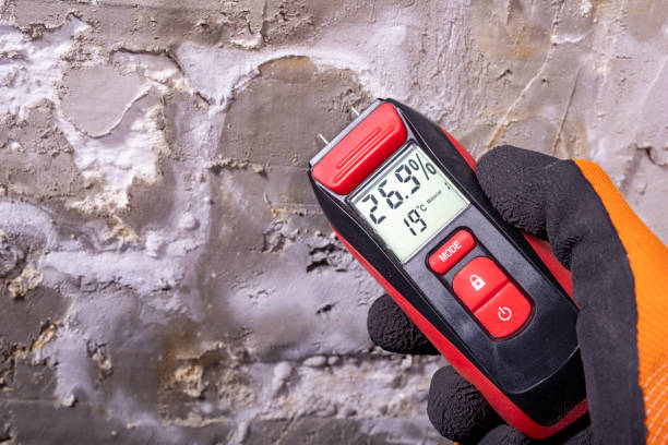 Certified Mold Removal in Washington, GA