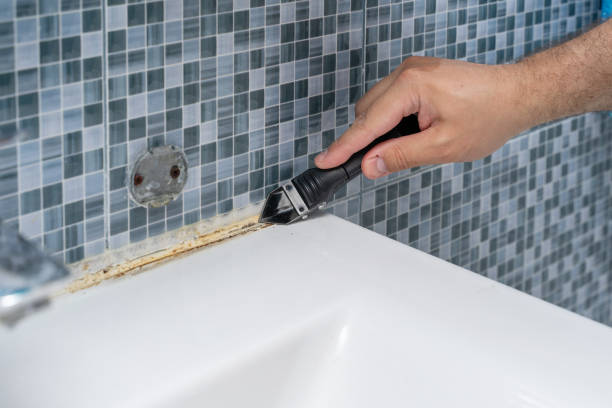 Best Affordable Mold Removal  in Washington, GA