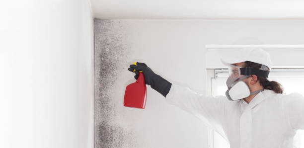 Best Residential Mold Removal  in Washington, GA