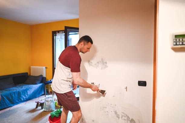 Best Office Mold Removal Services  in Washington, GA