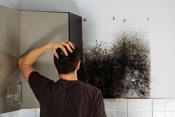 Best Fast Mold Removal  in Washington, GA